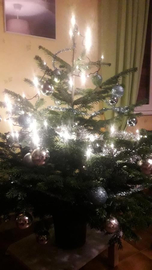 Gite De Famille Dans Les Vosges Saint-Maurice-sur-Moselle Exterior foto